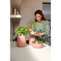 Elho Amazing Avocado Pot Bruin 15 Elho Amazing Avocado Pot Bruin -KeramiekHuisNederland elho amazing avocado pot bruin 1000x1000 64aeba7d0e46e l