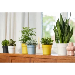 Elho B.for Original Rond 25 Cm Blauw -KeramiekHuisNederland elho b for original rond 25 cm blauw 1000x1000 64aebb5ac90ea l