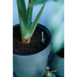 Elho B.for Original Rond 25 Cm Blauw -KeramiekHuisNederland elho b for original rond 25 cm blauw 1000x1000 64aebb5b228b0 l