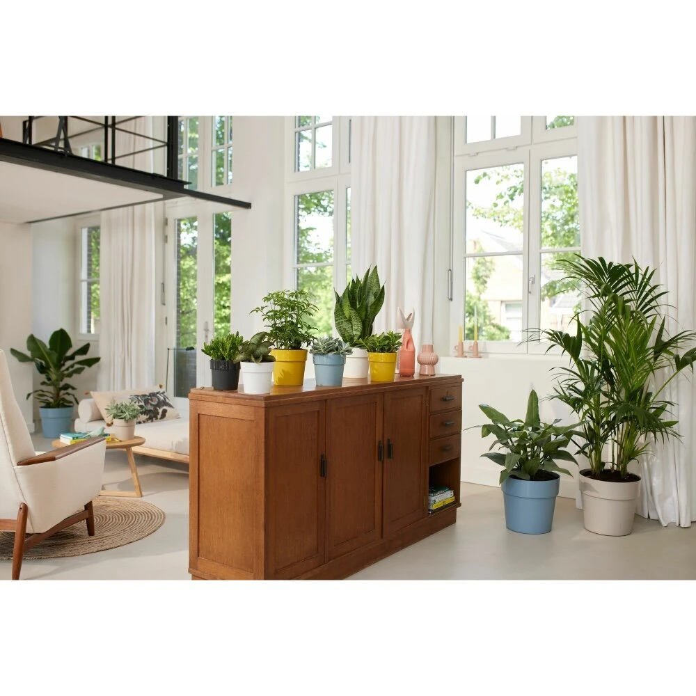 Elho B.for Original Rond Wielen 35 Cm Blauw 3 Elho B.for Original Rond Wielen 35 Cm Blauw - Afbeelding 3