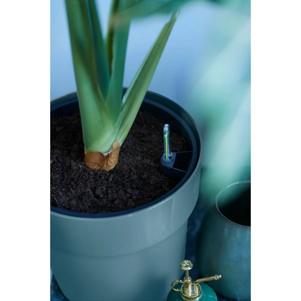 Elho B.for Original Rond Wielen 35 Cm Blauw 5 Elho B.for Original Rond Wielen 35 Cm Blauw - Afbeelding 5