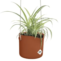 Elho B.for Swing 18 Cm Bruin -KeramiekHuisNederland elho b for swing 18 cm bruin 1000x1000 64aebb4d46d37 l