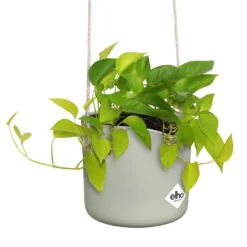Elho B.for Swing 18 Cm Groen -KeramiekHuisNederland elho b for swing 18 cm groen 1000x1000 64aebb4901d20 l