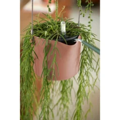 Elho B.for Swing 18 Cm Roze -KeramiekHuisNederland elho b for swing 18 cm roze 1000x1000 64aebb45b65fe l