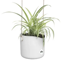 Elho B.for Swing 18 Cm Wit -KeramiekHuisNederland elho b for swing 18 cm wit 1000x1000 64aebb3fd475e l
