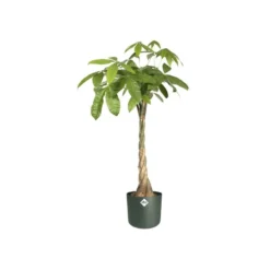 Elho Bloempot B.for Soft Rond 25cm Groen 9 Elho Bloempot B.for Soft Rond 25cm Groen -KeramiekHuisNederland elho bloempot b for soft rond 25cm groen 800x800 620e3ddedf641 l