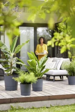 Elho Bloempot Greensense Aqua Care Rond 43cm Grijs -KeramiekHuisNederland elho bloempot greensense aqua care rond 43cm grijs 534x800 620e3d9712ebf l