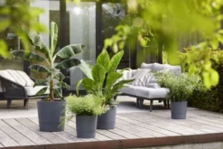 Elho Bloempot Greensense Aqua Care Rond 43cm Grijs -KeramiekHuisNederland elho bloempot greensense aqua care rond 43cm grijs 800x534 620e3d974ab62 l