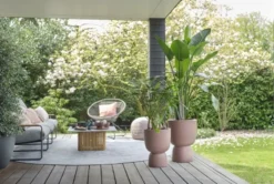 Elho Bloempot Pure Coupe 35cm Bruin -KeramiekHuisNederland elho bloempot pure coupe 35cm bruin 800x537 620e3d01df56a l