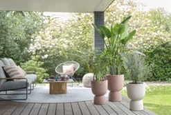 Elho Bloempot Pure Coupe 35cm Bruin -KeramiekHuisNederland elho bloempot pure coupe 35cm bruin 800x540 620e3d034e2d0 l