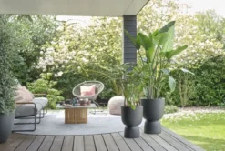 Elho Bloempot Pure Coupe 41cm Zwart -KeramiekHuisNederland elho bloempot pure coupe 41cm zwart 800x537 620e3cf945312 l