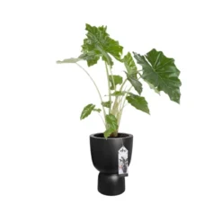 Elho Bloempot Pure Coupe 41cm Zwart -KeramiekHuisNederland elho bloempot pure coupe 41cm zwart 800x800 620e3cf895f7e l