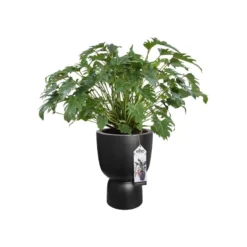 Elho Bloempot Pure Coupe 41cm Zwart -KeramiekHuisNederland elho bloempot pure coupe 41cm zwart 800x800 620e3cf8d370f l