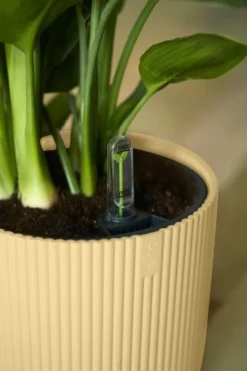 Elho Bloempot Vibes Fold Rond 25cm Geel -KeramiekHuisNederland elho bloempot vibes fold rond 25cm geel 533x800 620e3cda3f862 l