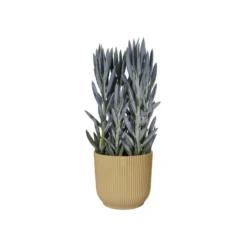 Elho Bloempot Vibes Fold Rond 25cm Geel -KeramiekHuisNederland elho bloempot vibes fold rond 25cm geel 800x800 620e3cd967412 l