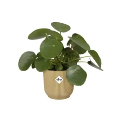 Elho Bloempot Vibes Fold Rond 25cm Geel -KeramiekHuisNederland elho bloempot vibes fold rond 25cm geel 800x800 620e3cd99cec8 l