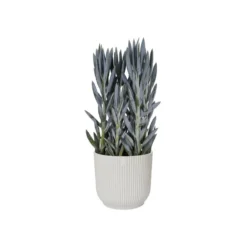 Elho Bloempot Vibes Fold Rond 25cm Wit 9 Elho Bloempot Vibes Fold Rond 25cm Wit -KeramiekHuisNederland elho bloempot vibes fold rond 25cm wit 800x800 620e3cddd68f9 l