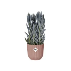 Elho Bloempot Vibes Fold Rond 30cm Roze -KeramiekHuisNederland elho bloempot vibes fold rond 30cm roze 800x800 620e3ce175f4e l