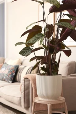 Elho Bloempot Vibes Fold Rond 30cm Wit -KeramiekHuisNederland elho bloempot vibes fold rond 30cm wit 534x800 620e3ce51f52f l