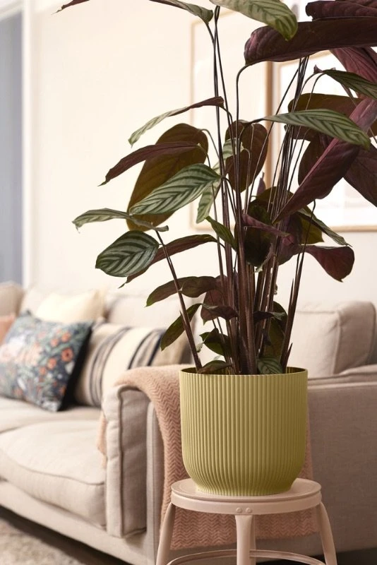 Elho Bloempot Vibes Fold Rond Wielen 35cm Geel 5 Elho Bloempot Vibes Fold Rond Wielen 35cm Geel - Afbeelding 5