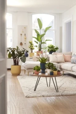 Elho Bloempot Vibes Fold Rond Wielen 35cm Geel 11 Elho Bloempot Vibes Fold Rond Wielen 35cm Geel -KeramiekHuisNederland elho bloempot vibes fold rond wielen 35cm geel 534x800 620e3d6a703ab l