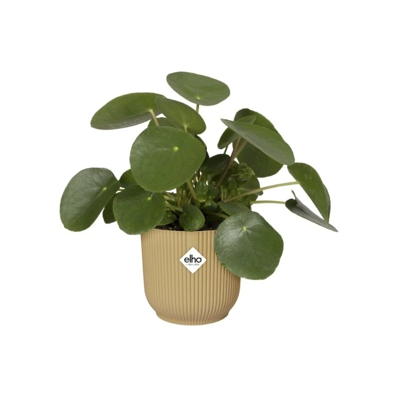 Elho Bloempot Vibes Fold Rond Wielen 35cm Geel 2 Elho Bloempot Vibes Fold Rond Wielen 35cm Geel - Afbeelding 2