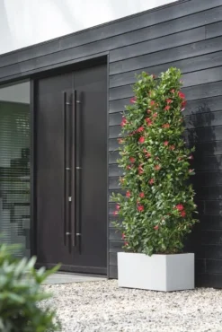 Elho Bloempot Vivo Next Lang 60cm Wit