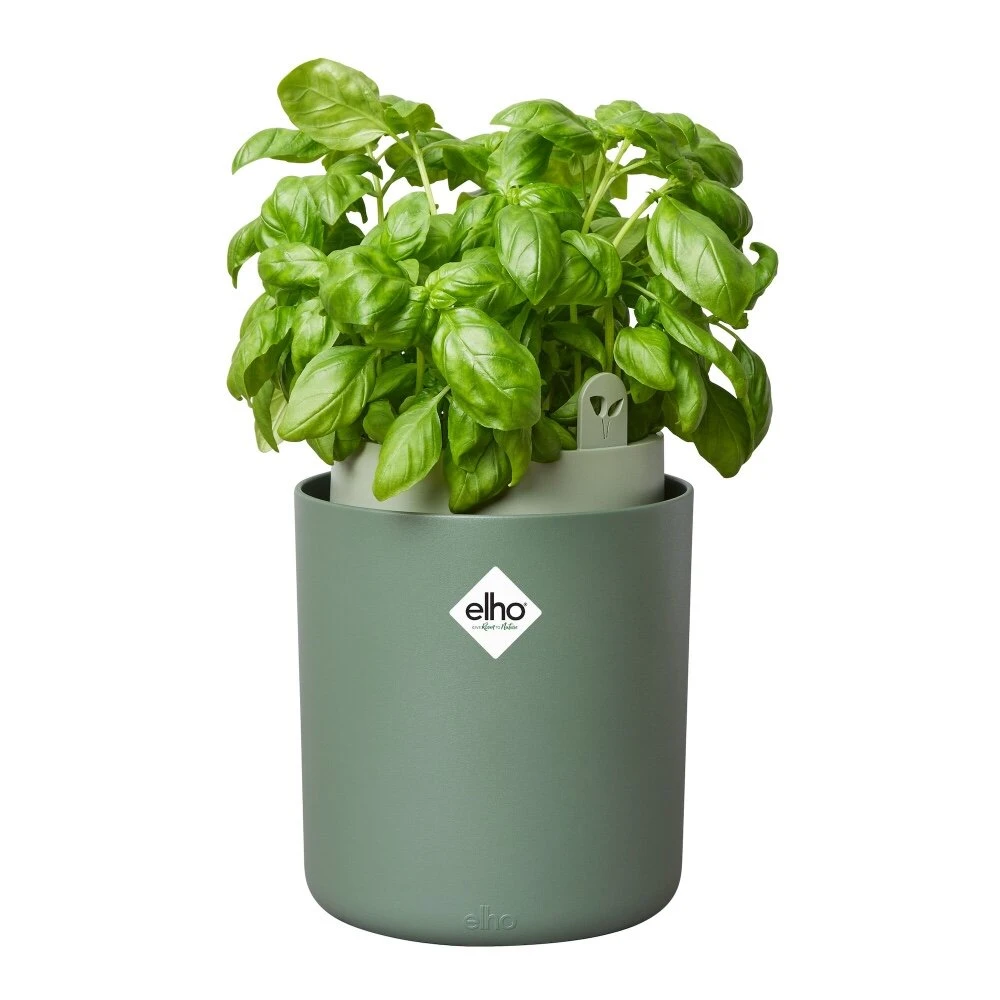 Elho Bouncy Basil Groen 2 Elho Bouncy Basil Groen - Afbeelding 2