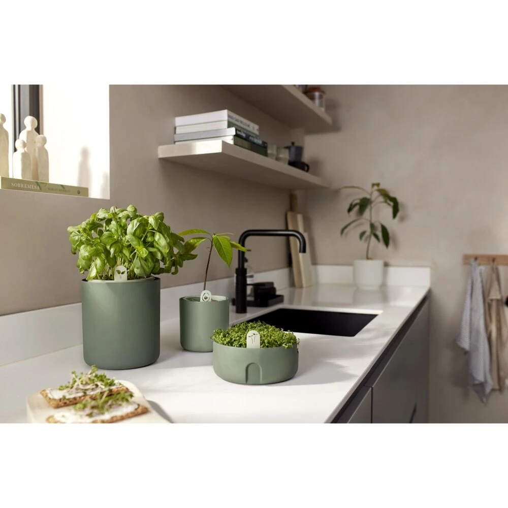 Elho Bouncy Basil Groen 7 Elho Bouncy Basil Groen - Afbeelding 7