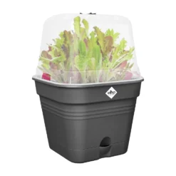 Elho Green Basics Kweekpot Vierk. Allin1 20 Cm Zwart 11 Elho Green Basics Kweekpot Vierk. Allin1 20 Cm Zwart -KeramiekHuisNederland elho green basics kweekpot vierk allin1 20 cm zwart 1000x1000 64aebad88b47c l