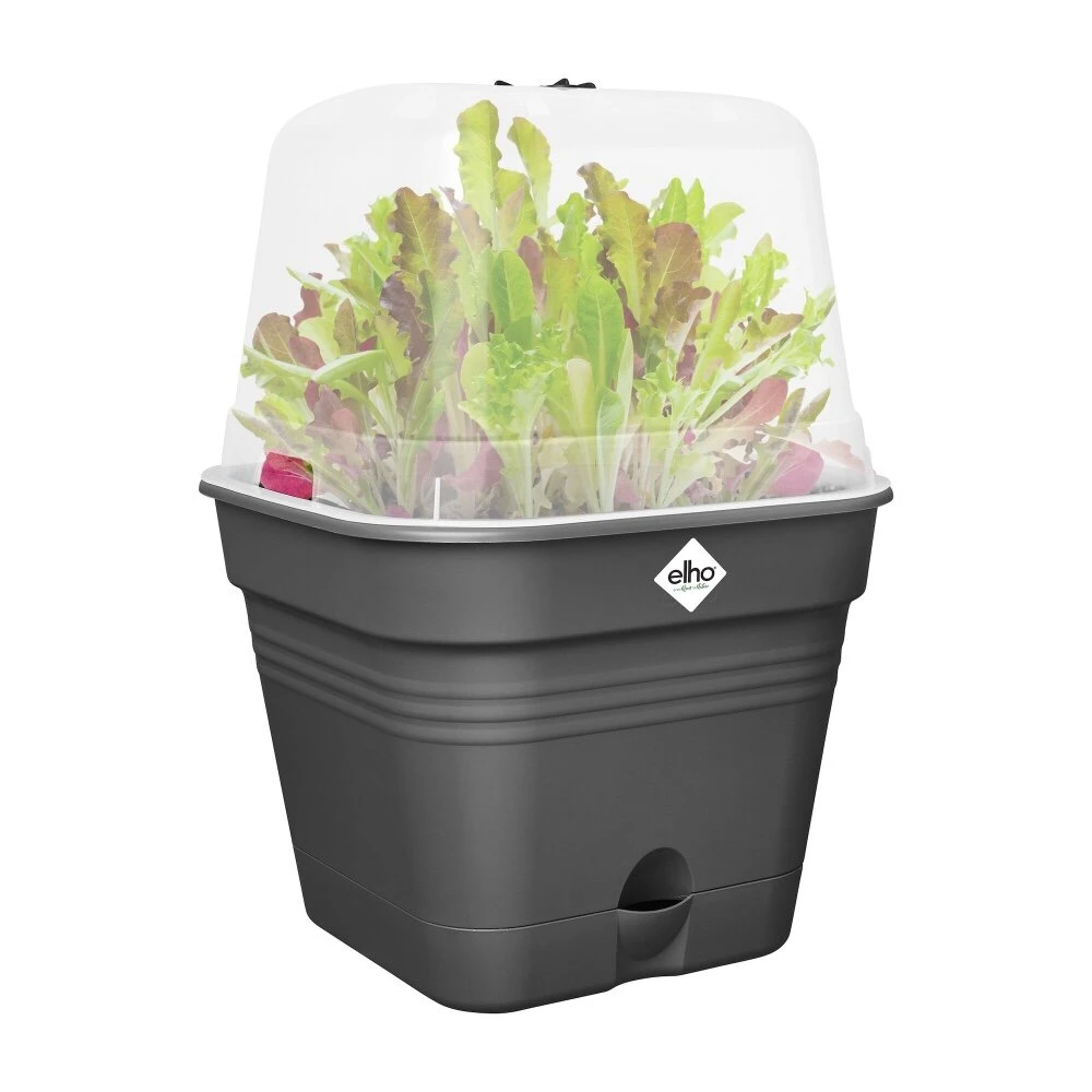 Elho Green Basics Kweekpot Vierk. Allin1 20 Cm Zwart 3 Elho Green Basics Kweekpot Vierk. Allin1 20 Cm Zwart - Afbeelding 3