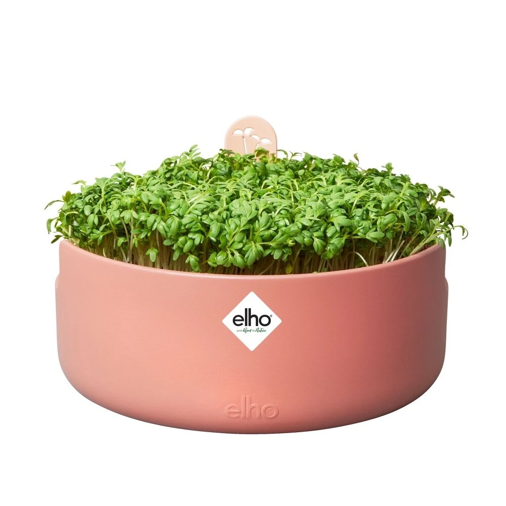 Elho Magic Microgreens Bruin 2 Elho Magic Microgreens Bruin - Afbeelding 2