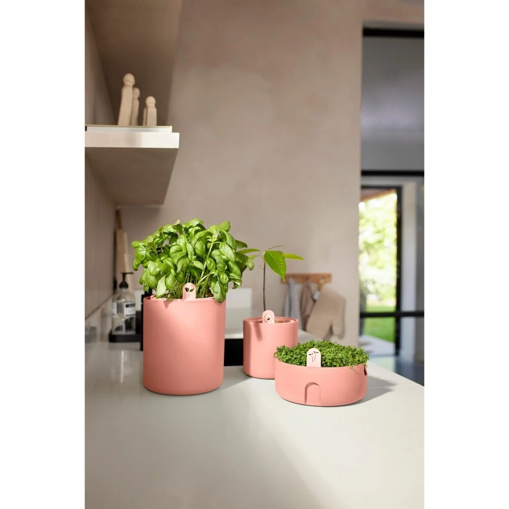 Elho Magic Microgreens Bruin 7 Elho Magic Microgreens Bruin - Afbeelding 7