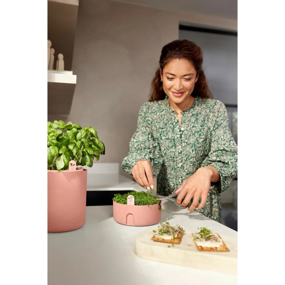 Elho Magic Microgreens Bruin 9 Elho Magic Microgreens Bruin - Afbeelding 9