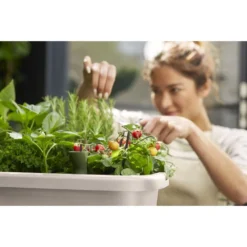 Elho Noa Kweektafel Grijs -KeramiekHuisNederland elho noa kweektafel grijs 1000x1000 64aebac703c5b l