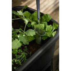 Elho Noa Kweektafel Zwart -KeramiekHuisNederland elho noa kweektafel zwart 1000x1000 64aebac9ce35a l