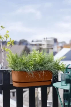Elho Plantenbak Greenville Easy Balcony 52cm Bruin -KeramiekHuisNederland elho plantenbak greenville easy balcony 52cm bruin 534x800 620e3d78b812c l