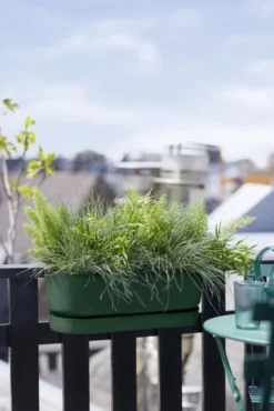 Elho Plantenbak Greenville Easy Balcony 52cm Groen 9 Elho Plantenbak Greenville Easy Balcony 52cm Groen -KeramiekHuisNederland elho plantenbak greenville easy balcony 52cm groen 534x800 620e3d7cec8d4 l