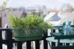 Elho Plantenbak Greenville Easy Balcony 52cm Groen 8 Elho Plantenbak Greenville Easy Balcony 52cm Groen -KeramiekHuisNederland elho plantenbak greenville easy balcony 52cm groen 800x534 620e3d7cbcf7a l