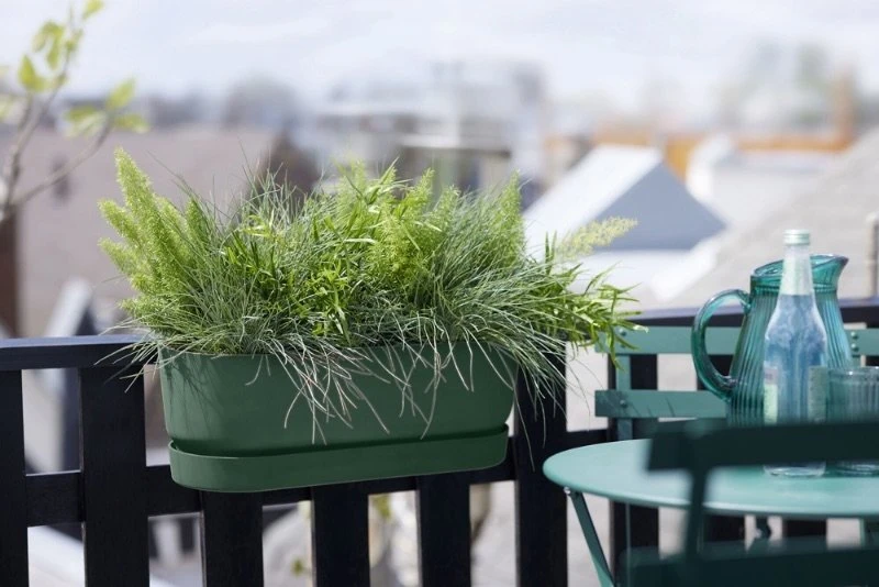 Elho Plantenbak Greenville Easy Balcony 52cm Groen 4 Elho Plantenbak Greenville Easy Balcony 52cm Groen - Afbeelding 4