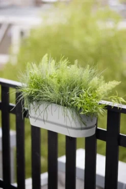 Elho Plantenbak Greenville Easy Balcony 52cm Wit -KeramiekHuisNederland elho plantenbak greenville easy balcony 52cm wit 534x800 620e3d70b8d5d l