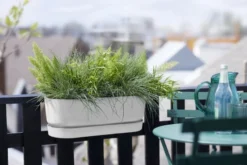 Elho Plantenbak Greenville Easy Balcony 52cm Wit -KeramiekHuisNederland elho plantenbak greenville easy balcony 52cm wit 800x534 620e3d70ef9fa l