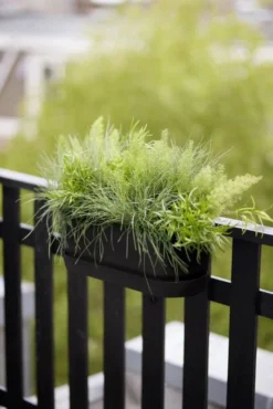 Elho Plantenbak Greenville Easy Balcony 52cm Zwart -KeramiekHuisNederland elho plantenbak greenville easy balcony 52cm zwart 534x800 620e3d739f18a l