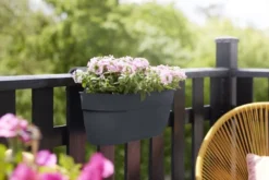 Elho Plantenbak Vibia Campana Easy Hanger Large Grijs -KeramiekHuisNederland elho plantenbak vibia campana easy hanger large grijs 800x534 620e3ce68654e l