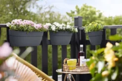 Elho Plantenbak Vibia Campana Easy Hanger Large Grijs -KeramiekHuisNederland elho plantenbak vibia campana easy hanger large grijs 800x534 620e3ce6bad5e l