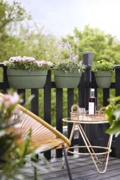 Elho Plantenbak Vibia Campana Easy Hanger Large Groen 11 Elho Plantenbak Vibia Campana Easy Hanger Large Groen -KeramiekHuisNederland elho plantenbak vibia campana easy hanger large groen 534x800 620e3cec7c872 l