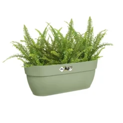 Elho Plantenbak Vibia Campana Easy Hanger Large Groen 8 Elho Plantenbak Vibia Campana Easy Hanger Large Groen -KeramiekHuisNederland elho plantenbak vibia campana easy hanger large groen 800x800 620e3cebb89ff l