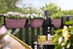 Elho Plantenbak Vibia Campana Easy Hanger Large Roze 10 Elho Plantenbak Vibia Campana Easy Hanger Large Roze -KeramiekHuisNederland elho plantenbak vibia campana easy hanger large roze 800x534 620e3ce933e48 l