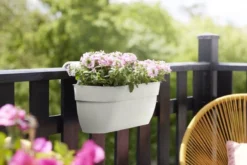 Elho Plantenbak Vibia Campana Easy Hanger Large Wit 10 Elho Plantenbak Vibia Campana Easy Hanger Large Wit -KeramiekHuisNederland elho plantenbak vibia campana easy hanger large wit 800x534 620e3cef11e5e l