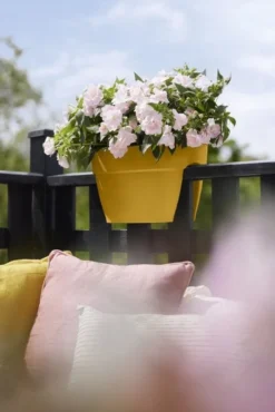 Elho Plantenbak Vibia Campana Flower Bridge 40cm Geel -KeramiekHuisNederland elho plantenbak vibia campana flower bridge 40cm geel 534x800 620e3d1223b34 l